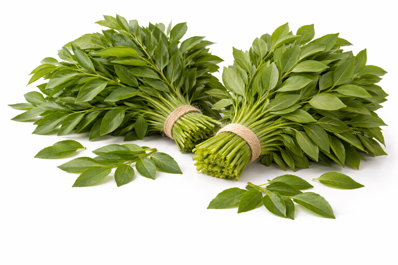 Curry Leaves