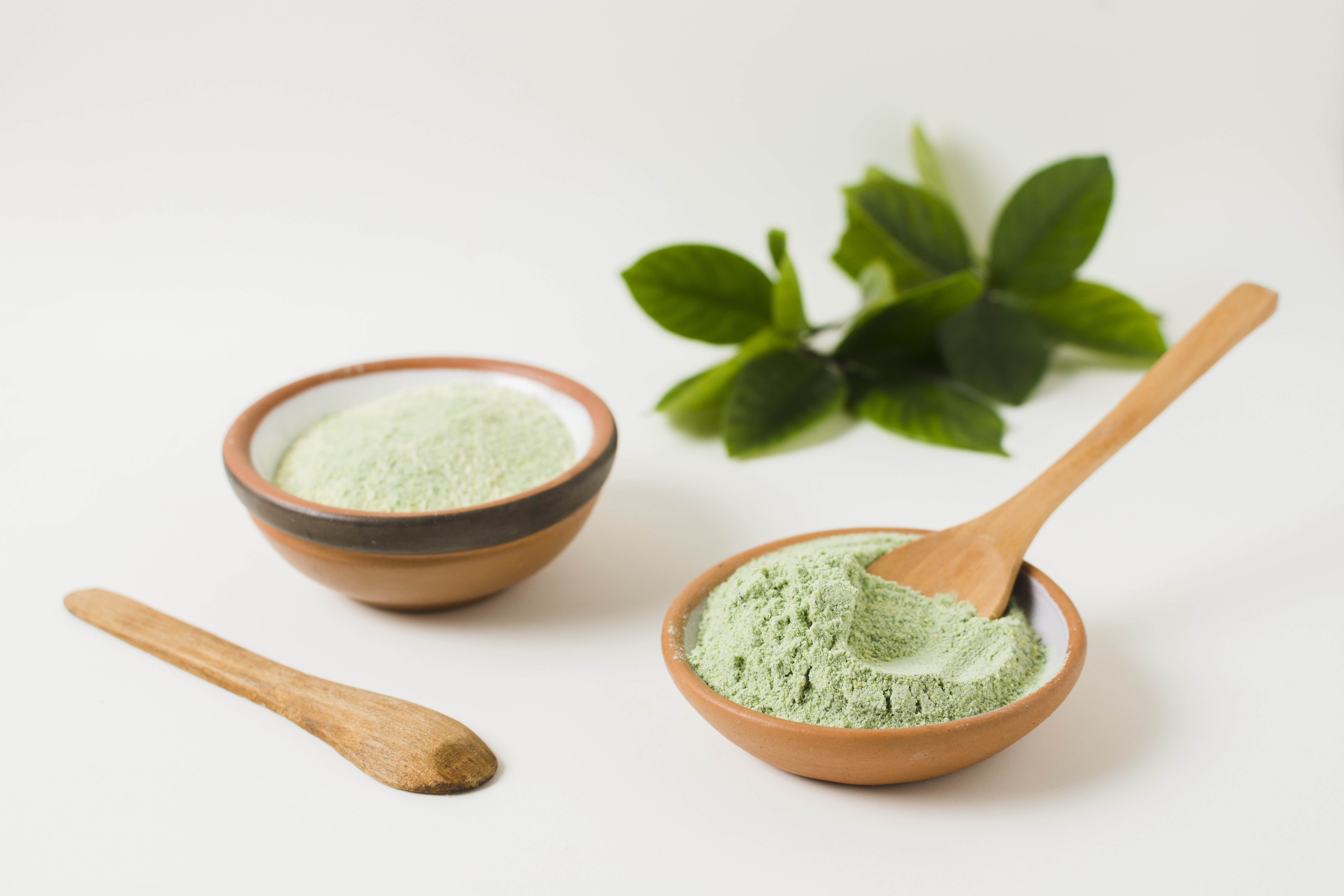 Moringa Powder